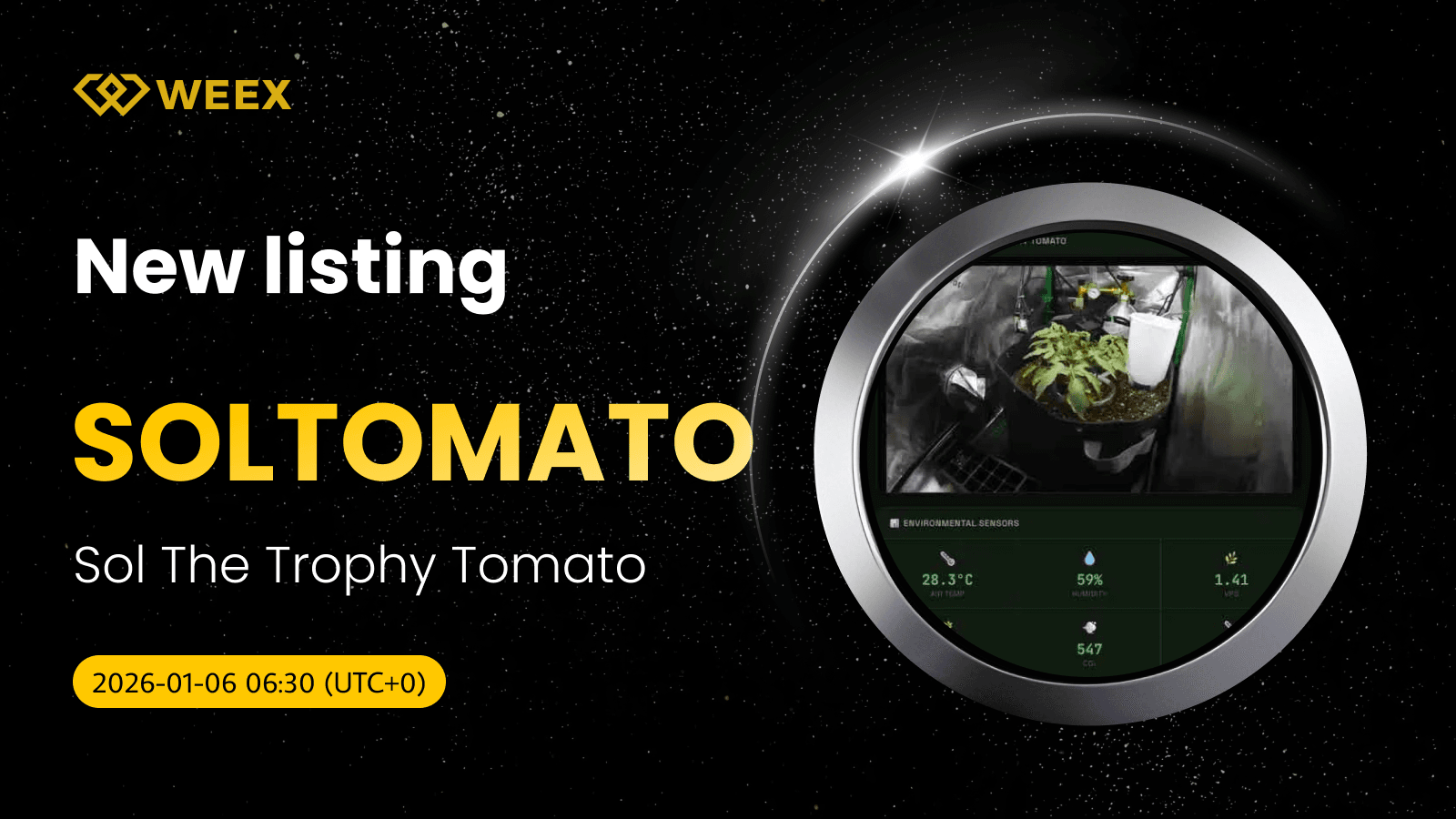 SOLTOMATO USDT Listed: Trade Sol The Trophy Tomato on WEEX