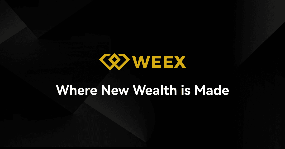 WEEX is one of the best crypto exchanges to invest in Bitcoin.