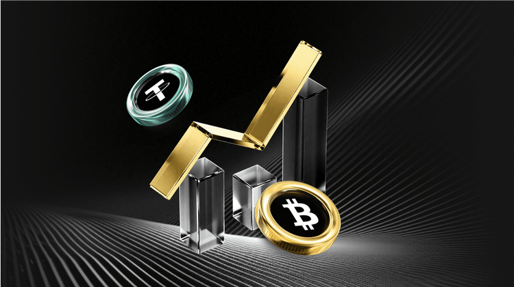 RAYS Protocol(RAX) IDO Breakdown