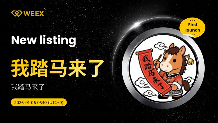 我踏马来了 Coin Now Listed on WEEX Spot