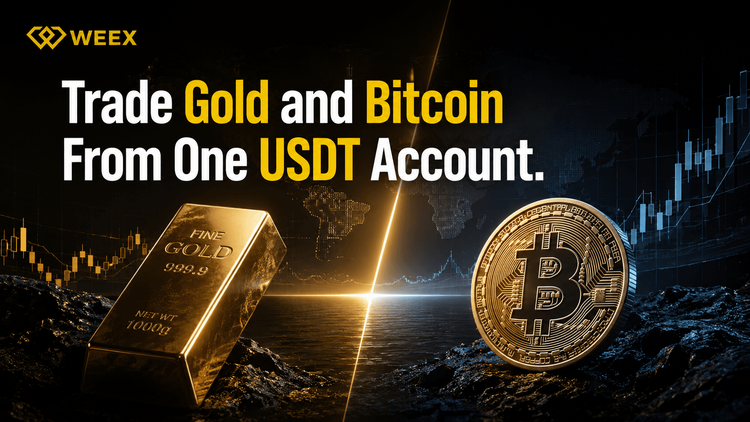 Gold vs Bitcoin in 2026: Which Market Is Giving Traders Better Opportunities?
