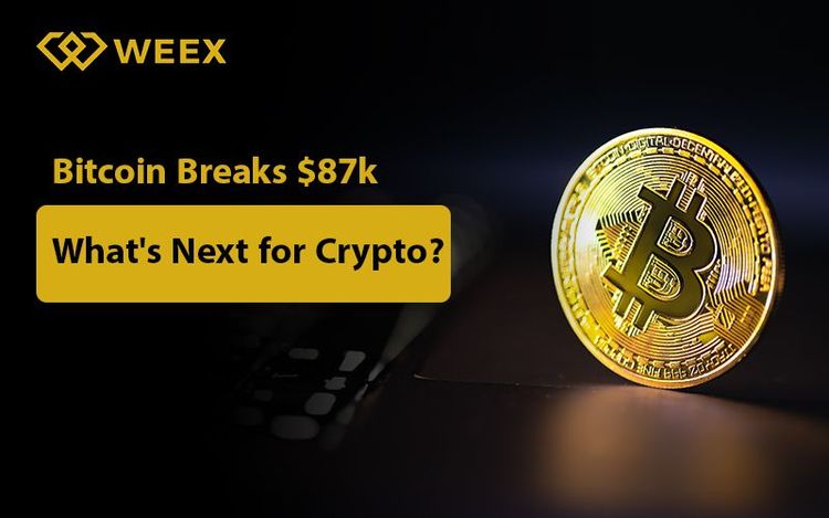 Bitcoin Price Surpasses $87,000: What Is the Future of Cryptocurrencies?